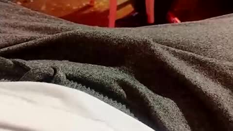 Lvac11 online show from December 21, 10:30 pm