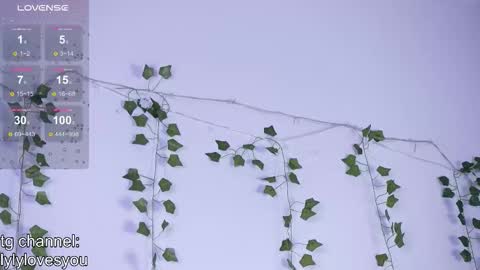 Lyly   online show from November 13, 5:43 am