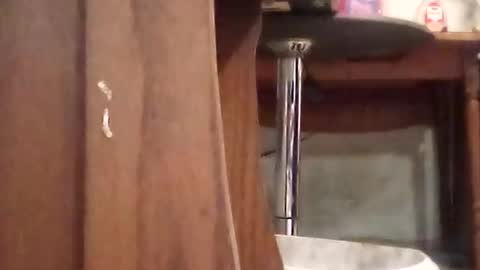 mackdog1369 online show from October 26, 5:56 pm