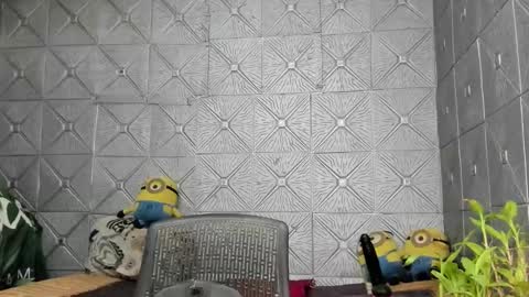 TsKaycee online show from November 20, 2:32 am