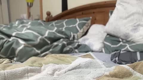 mailo online show from November 24, 6:56 am