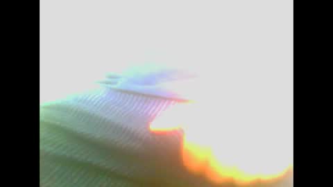 maioris6 online show from February 22, 8:07 am