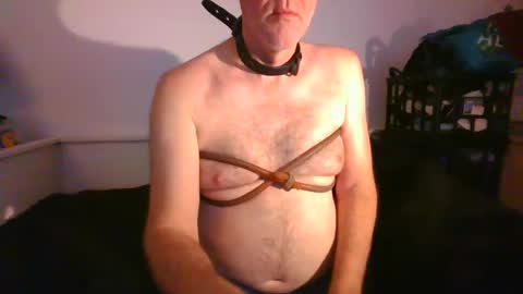 CommandbondageNipples bondage kink submissive lovense slave wgear. modequiethvyBondage If Password goldfish online show from January 29, 9:12 am