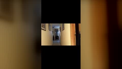 marcos260526 online show from February 1, 3:53 pm