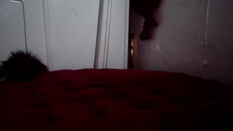 MariahJade95 online show from December 7, 7:32 am