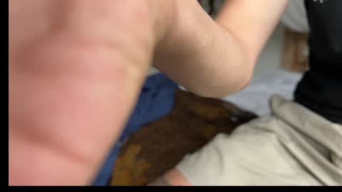 Mason online show from January 31, 3:52 am