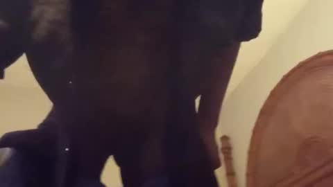 Master Solo online show from September 29, 10:14 am