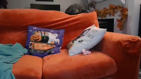 alex online show from September 20, 10:51 am