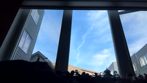 masturbatingmariamiller online show from February 4, 8:46 pm