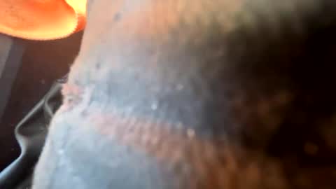 mattyt6969 online show from November 25, 3:49 am