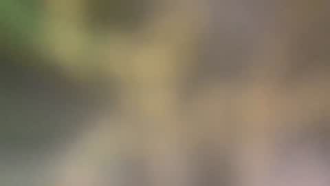 Goodtime notlongtime online show from October 22, 9:12 am