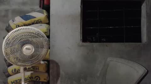 Mcgregor online show from October 15, 2:04 am