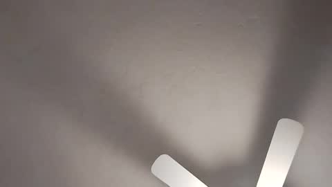 mcwire4 online show from January 19, 8:41 pm