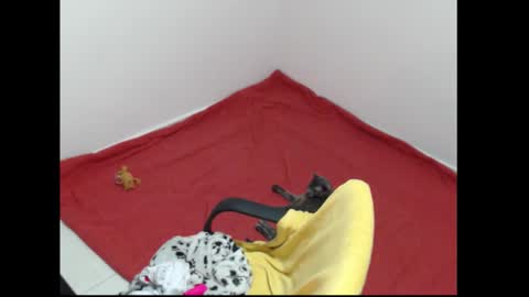 Meg4n Miauuuu online show from February 11, 7:29 pm