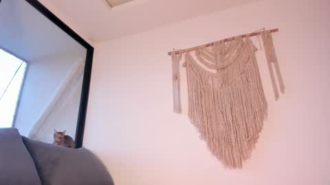 Snapshot of megan__88 chatting on January 3, 10:51 pm megan online show from January 3, 10:51 pm