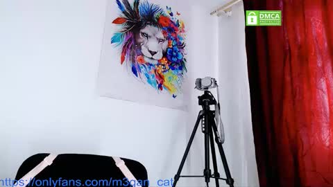 megan_cat online show from December 21, 5:30 pm