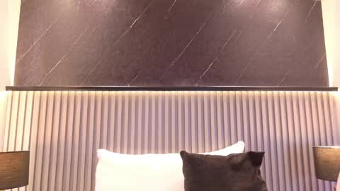 Megan  online show from May 16, 10:41 pm