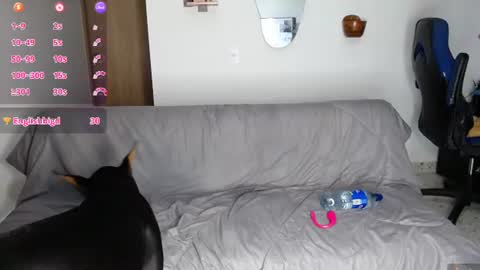 meggan_foxxy online show from June 27, 12:05 am
