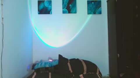 meghan_devil_ online show from February 4, 5:44 am