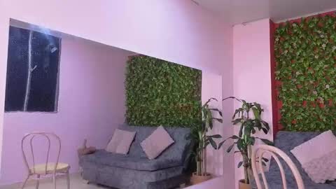 Mei online show from February 20, 8:44 pm