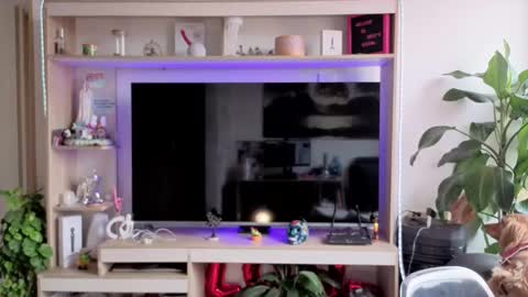 Melissa online show from March 17, 2:55 pm