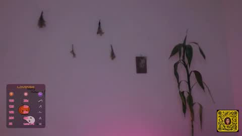 melissa online show from October 3, 3:48 am