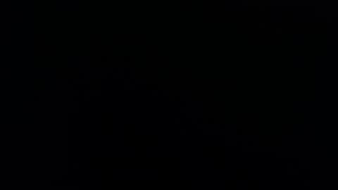  Melody  online show from February 14, 6:49 am