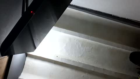 melodycharlotte online show from November 14, 11:45 am