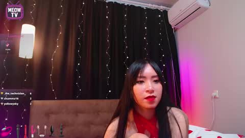 meowkami online show from February 3, 3:04 am