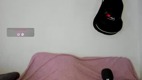 meowmelf online show from May 7, 9:32 pm