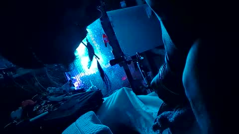 gurlnips online show from December 3, 8:37 am