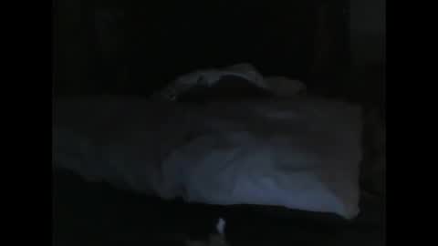 mfdvr474 online show from February 7, 7:07 am