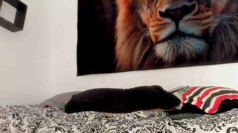 mia_harpers online show from July 8, 5:05 pm