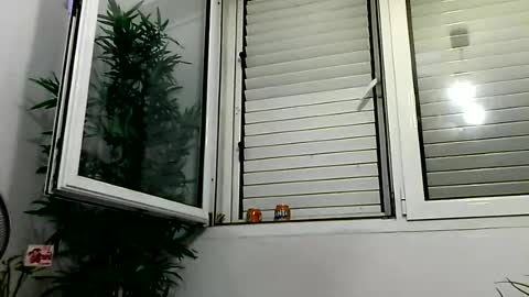 MILO MIAMI online show from June 28, 12:28 am