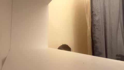 michiheartaaron503780 online show from November 16, 12:07 pm