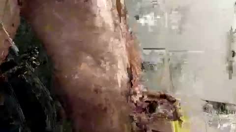 mickavis1975 online show from November 22, 6:17 pm