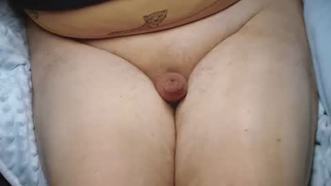 tinypenis online show from December 23, 12:50 am