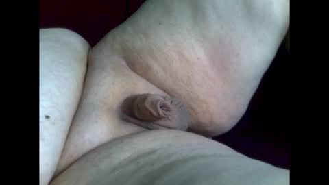 micropimmel online show from February 28, 11:14 am