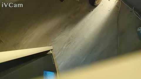 Miguel online show from November 22, 4:22 am