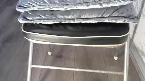 mike26051 online show from December 15, 3:30 pm