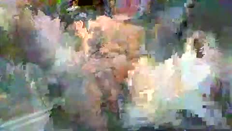 mikes69638385 online show from November 12, 6:16 am