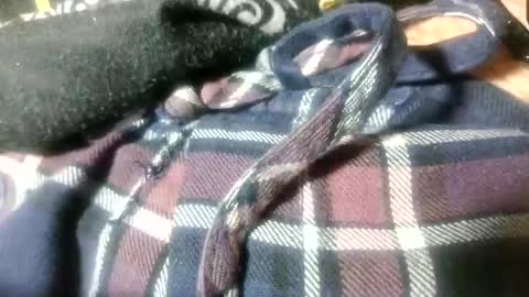 mikeyd1a online show from March 22, 4:22 pm