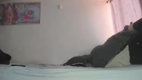 Mila Dash online show from February 8, 1:22 pm