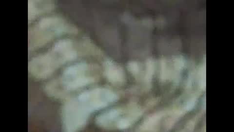 milfpussyeatdeep online show from December 31, 9:06 pm