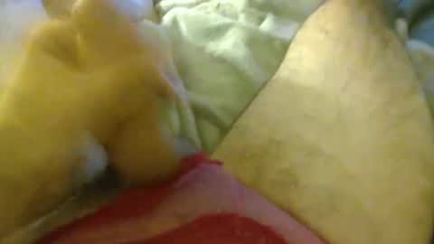 milkncookies8 online show from October 3, 5:59 am