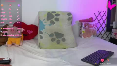 H A R O L D online show from February 21, 8:51 am