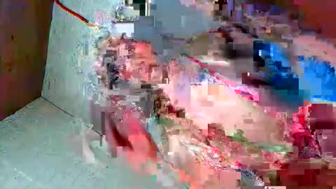 NEL 23 online show from May 11, 1:07 pm