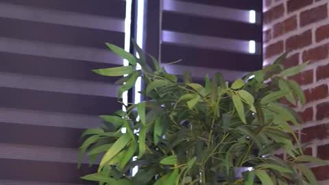 Snapshot of millaserene chatting on September 26, 1:08 pm Milla online show from September 26, 1:08 pm