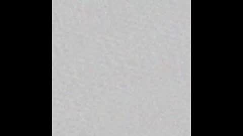 millergardener online show from March 2, 4:42 pm