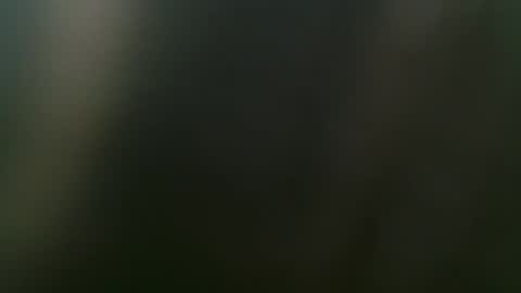 Misha online show from February 15, 3:50 pm